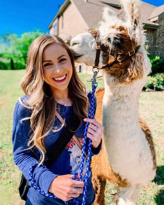 Llama Walks | Book Your Llama Adventure Today — ShangriLlama